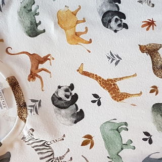 Safari